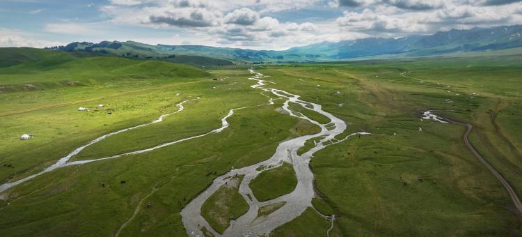 那野山河民宿(那拉提景区店)图片