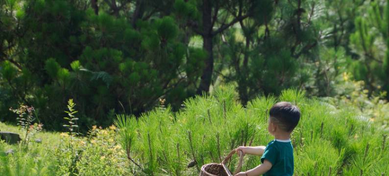 墅家玉庐·日照金山纳西秘境Villa(丽江店)图片