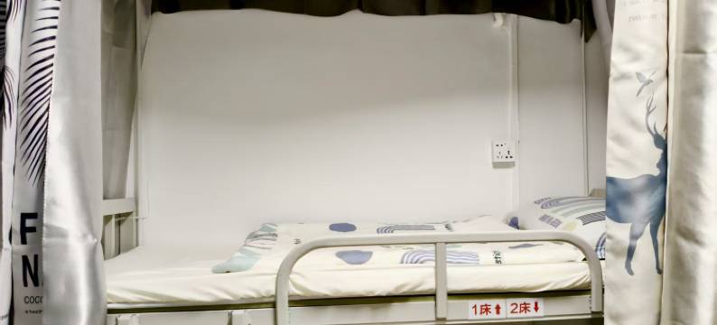 轻语青年旅舍图片