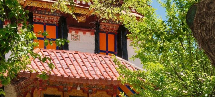 逸米酒店(拉萨罗布林卡西藏博物馆店)图片