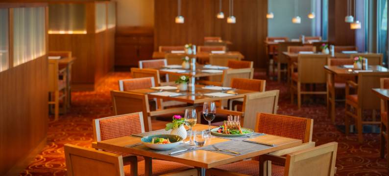 希尔顿花园法兰克福空港酒店(Hilton Garden Inn Frankfurt Airport)图片