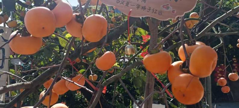 恭城迎宾阁民宿图片