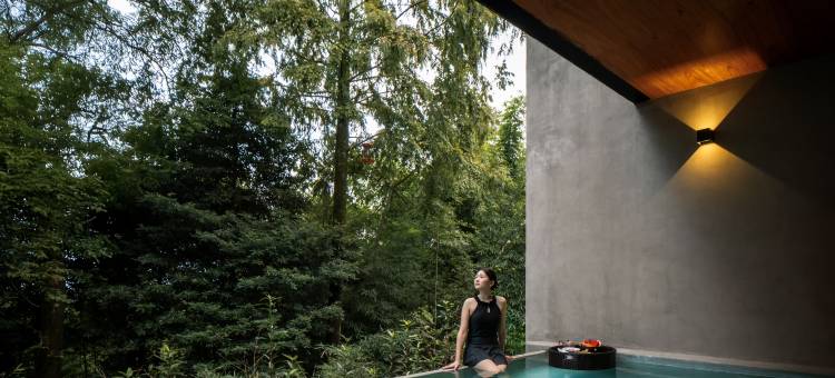 青城山如释青尘民宿图片