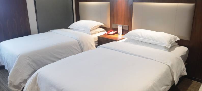 陇南蕊嘉锦龙酒店(阶州夜市店)图片