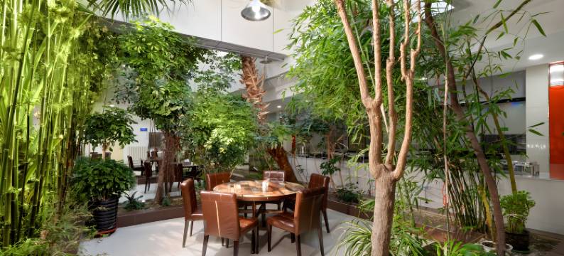 亚布力雪杉酒店图片