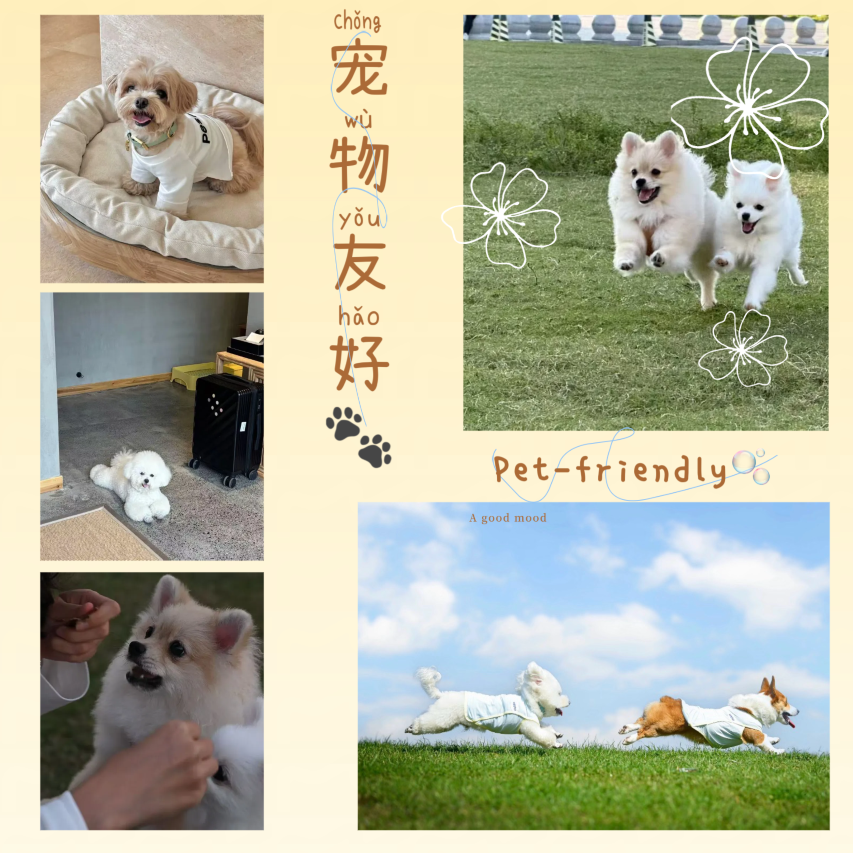 金华万达广场融景湾酒店(古子城夜市步行街店)图片