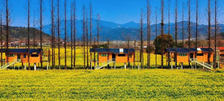 黄梅袁夫稻田villa|设计师HarvestCoffee民宿图片