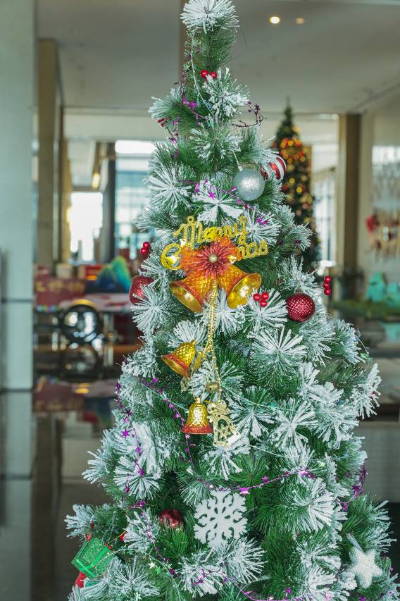 柳州三江万怡酒店图片