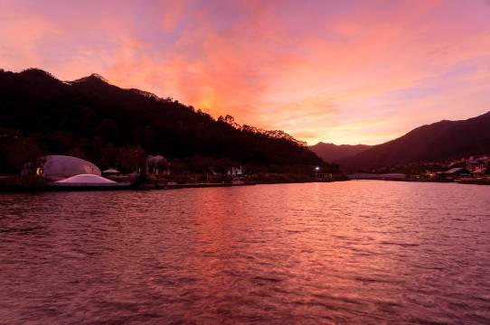 河源春沐源小镇·棕榈树酒店图片