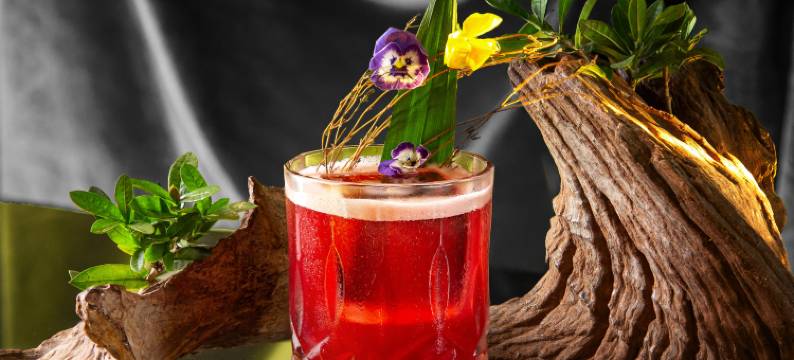 洪玉王朝精品水疗酒店(Hong Ngoc Dynastie Boutique Hotel & Spa)图片