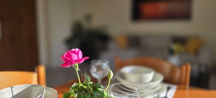 Garden apartment 20m from the sea图片