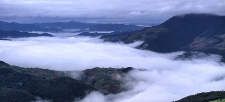 森氧云海·Sylvan枕雾听风·云境山景公馆(西双版纳勐海店)图片