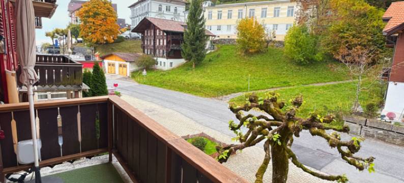 比滕贝格度假村及水疗中心(Beatenberg Resort & Spa in Beatenberg Interlaken)图片