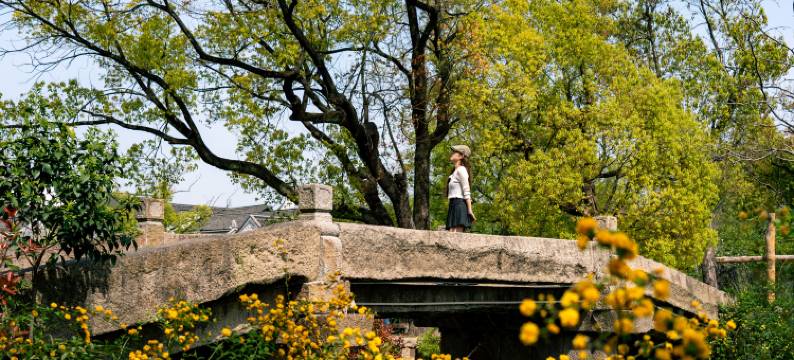 盐官潮乐之城琵琶客栈图片