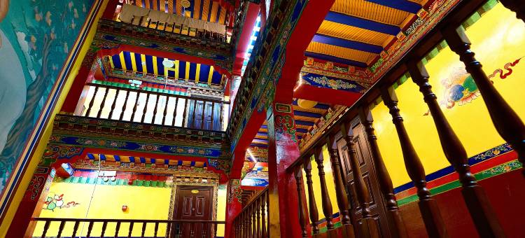 西辰藏式富氧酒店(大昭寺八廓街店)图片