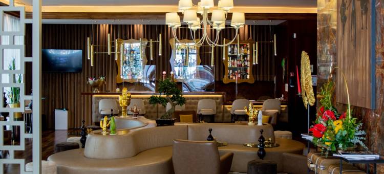 VIP行政皮卡奥斯酒店(VIP Executive Picoas Hotel)图片