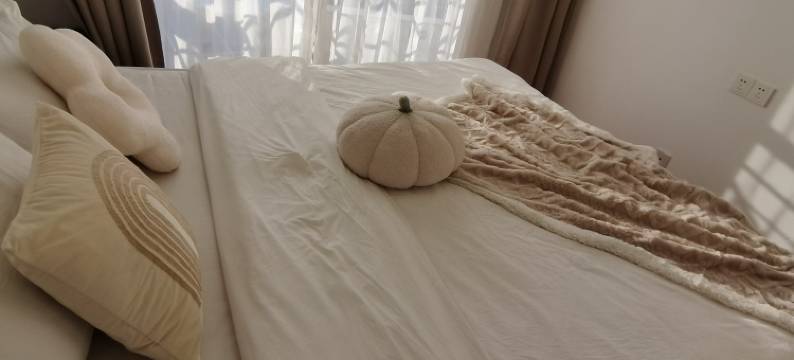 Angie冰心公寓(深圳岗厦店)图片