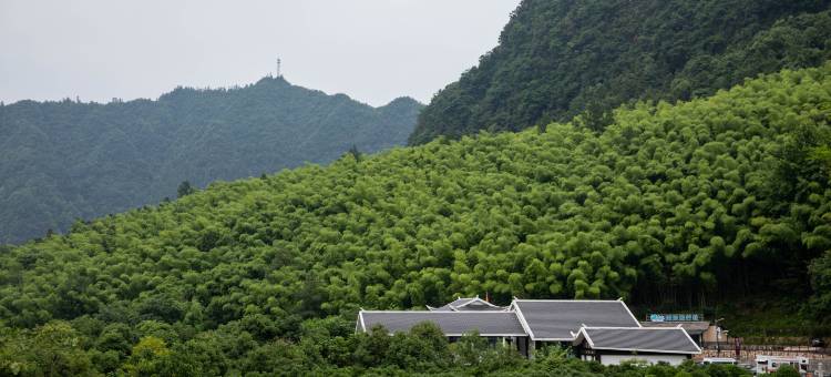 虚度·ANNICA旅游度假民宿(张家界国家森林公园中门店)图片