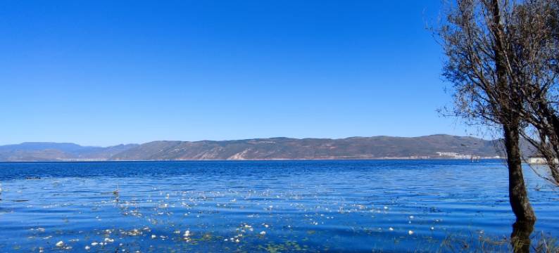 大理糖糖堂民宿(洱海才村码头店)图片