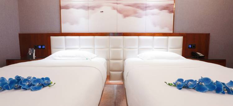 青川山水酒店图片