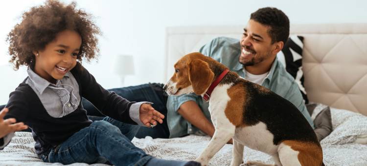 昂普半岛馨乐庭酒店(近索恩河畔)(Citadines Apart’hotel Presqu'Ile Lyon)图片