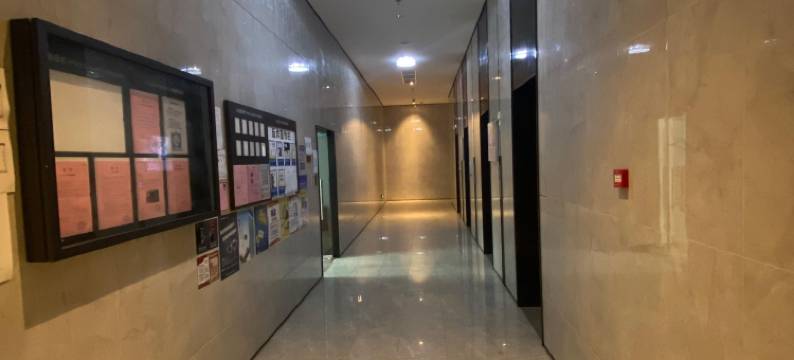 忠隆影视公寓(深圳坪山高铁站锦龙地铁站店)图片