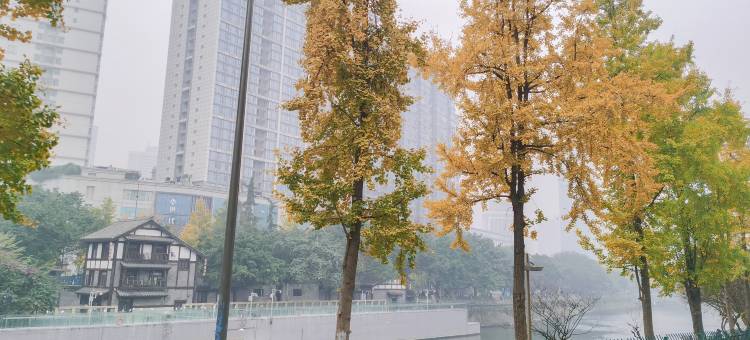 一帆轻奢江景公寓(成都武侯祠华西医院店)图片