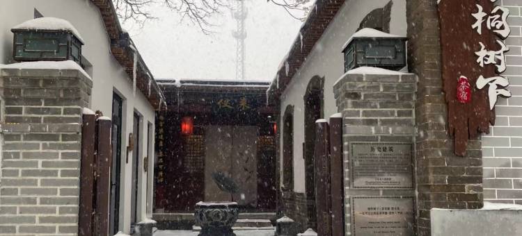 梧桐树下·茶宿(正定古城隆兴寺店)图片