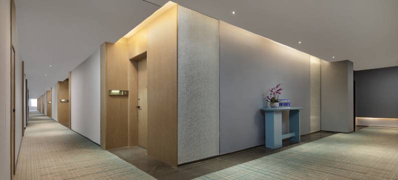 美豪丽致酒店(广州南站番禺长隆店)图片