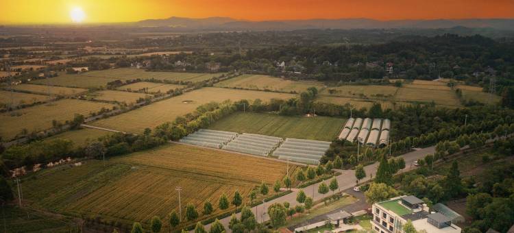 安吉稻浪里·RICE WAVES·星空泳池度假美宿villa图片