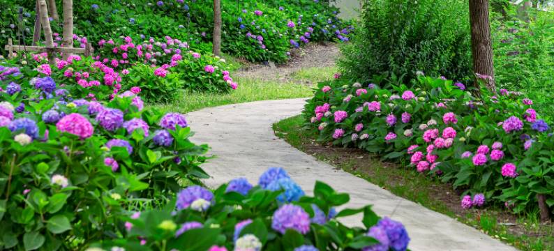 郁园乡野度假村图片