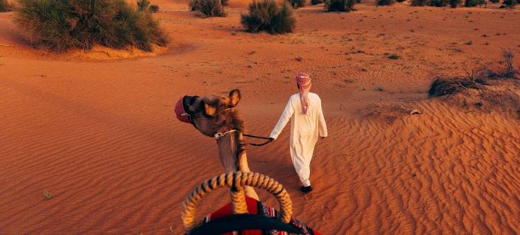 迪拜阿玛哈豪华精选沙漠水疗度假酒店(Al Maha, a Luxury Collection Desert Resort & Spa, Dubai)图片