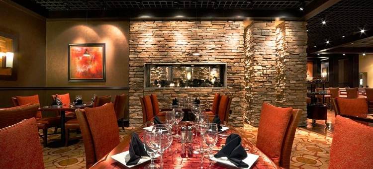 钻石乔沃斯娱乐场酒店(Diamond Jo Worth Casino & Hotel)图片