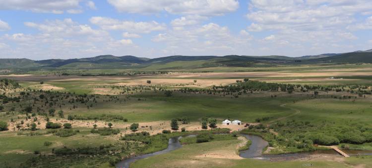 多伦大酒店图片