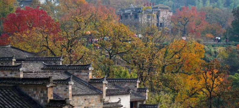 宏村莫名YAJU设计师民宿(宏村风景区店)图片