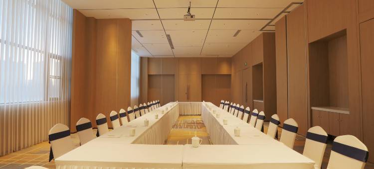 富平绿地铂骊酒店图片