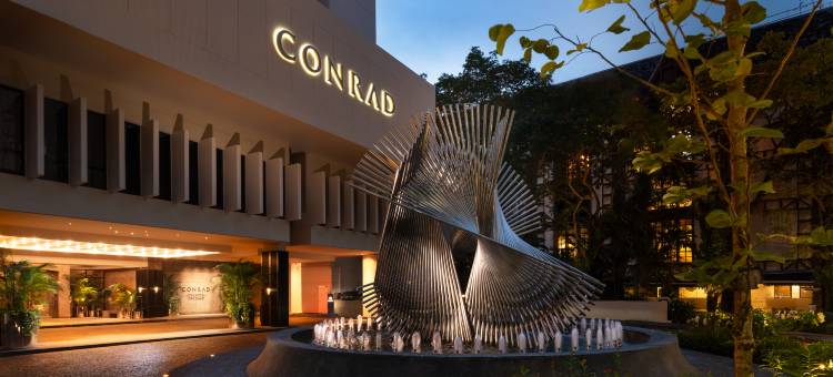 新加坡乌节康莱德酒店(Conrad Singapore Orchard)图片