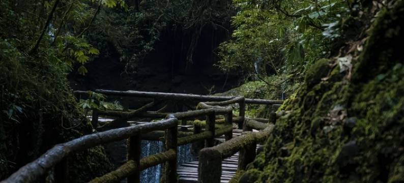 青城山前山景区原石滩酒店(青城山高铁站店)图片