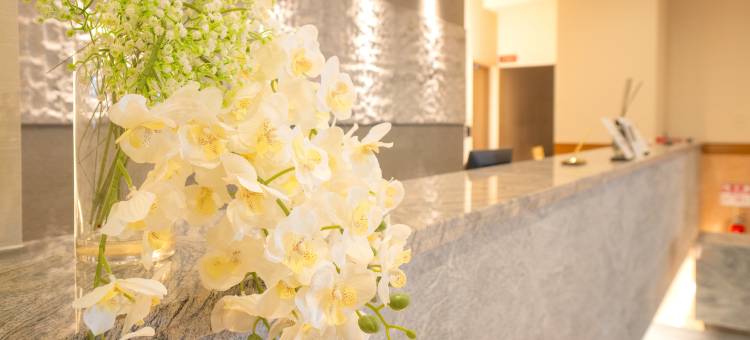 大阪关西机场酒店(Osaka Kansai Airport Hotel(KIX))图片