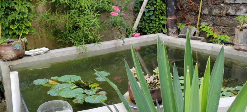 利川采萧民宿图片