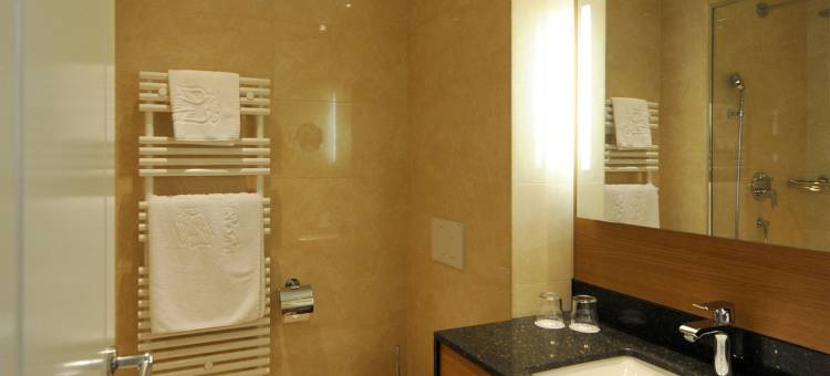 洛桑和平酒店(Hôtel de la Paix Lausanne)图片