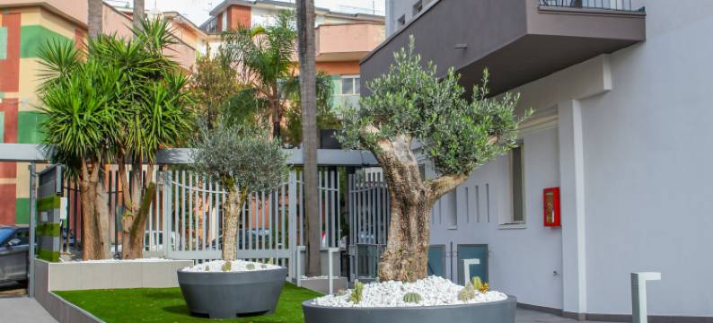 伊吉利酒店(HOTEL I GIGLI)图片