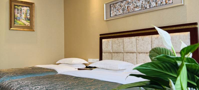 迭部苯日钦牡大酒店图片