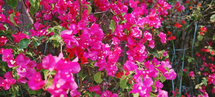 厦门森海丽景酒店(厦门站南广场店)图片