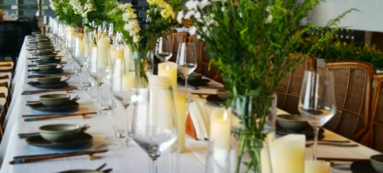 上林一棵松度假村图片