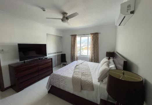 Joy Luxury Estate Kingston Hotel Overview