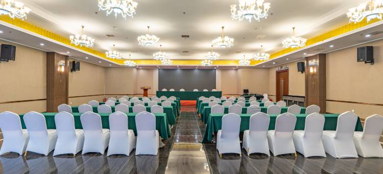 瑞吉昔悦国际酒店(焦作沁阳店)图片