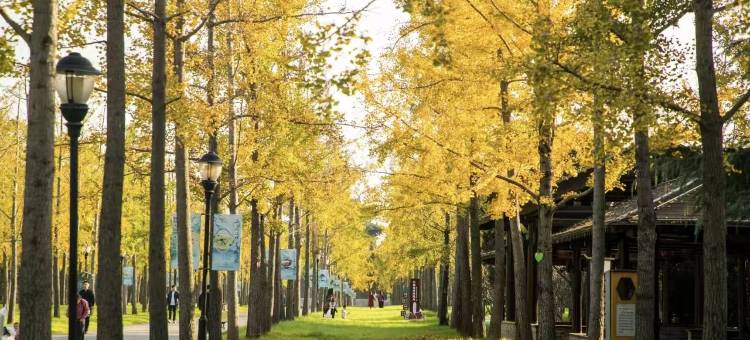 瘦西湖宋城度假酒店图片