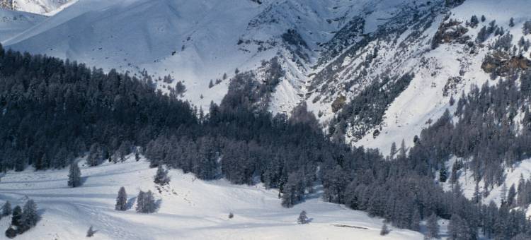 Club Med地中海俱乐部·阿尔卑斯山圣莫利斯度假村(Club Med Saint Moritz Roi Soleil)图片