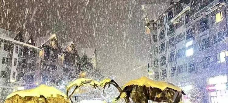 吉林亚美滑雪度假公寓(万科松花湖店)图片